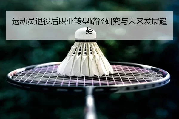 运动员退役后职业转型路径研究与未来发展趋势
